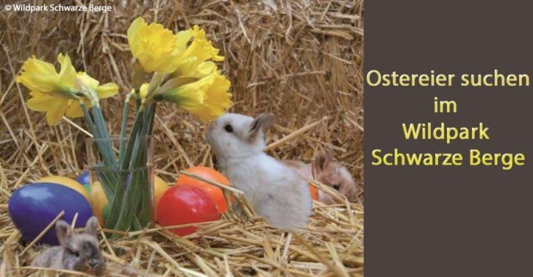 Ostereier suchen im Wildpark Schwarze Berge