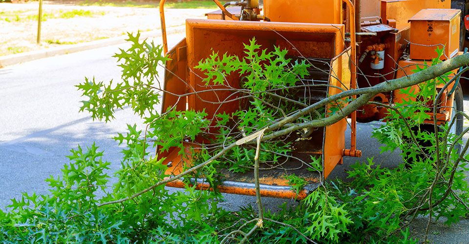 Kosentlose Haeckselaktion im Landkreis Harburg für Bauschnitt