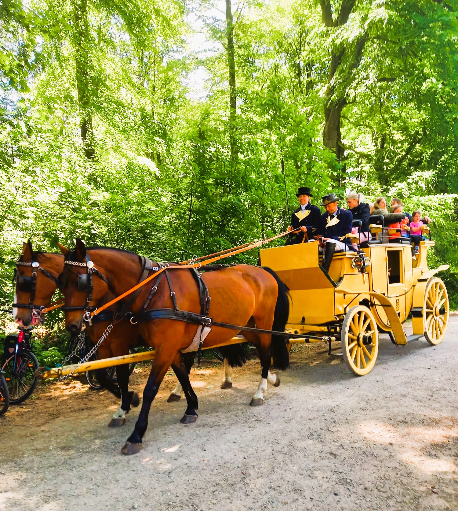 Rundfahrten mit der historischen Postkutsche des Vereins angeboten, die Groß und Klein auf eine kleine Reise in vergangene Zeiten mitnehmen
