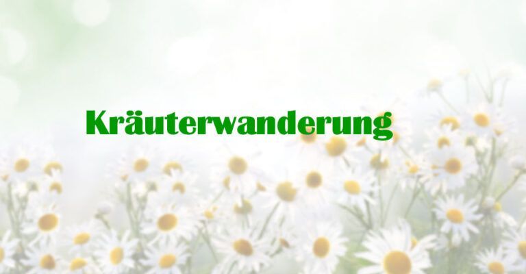 Kräuterwanderung für Familien in Bendestorf