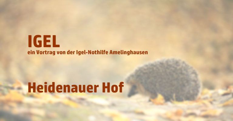 IGEL -kleiner, stacheliger Geselle in Not &#8211; Vortrag im Heidenauer Hof