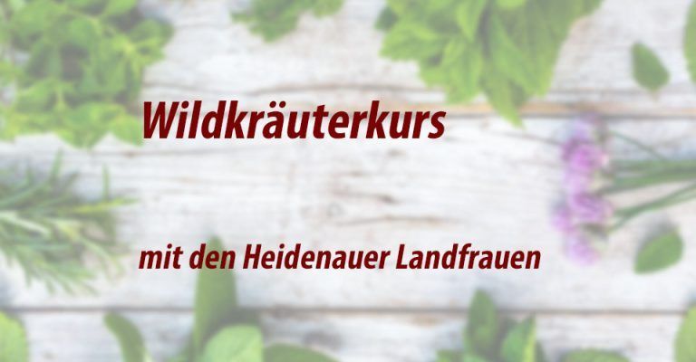 Ein Wildkräuterkurs mit den Landfrauen in Wistedt